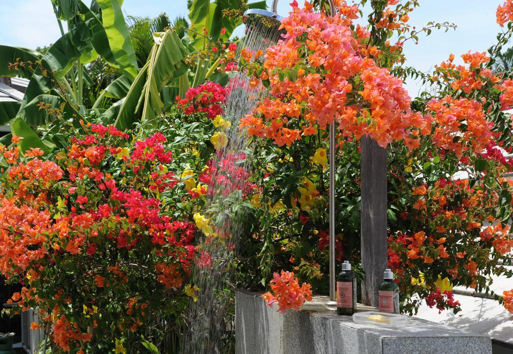 Samui Blu, Villa With Private Pool Choeng Mon エクステリア 写真